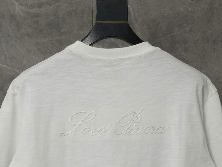 Loro Piana T Shirts Short _SKULoroPianaM-2XLaztxQ748737
